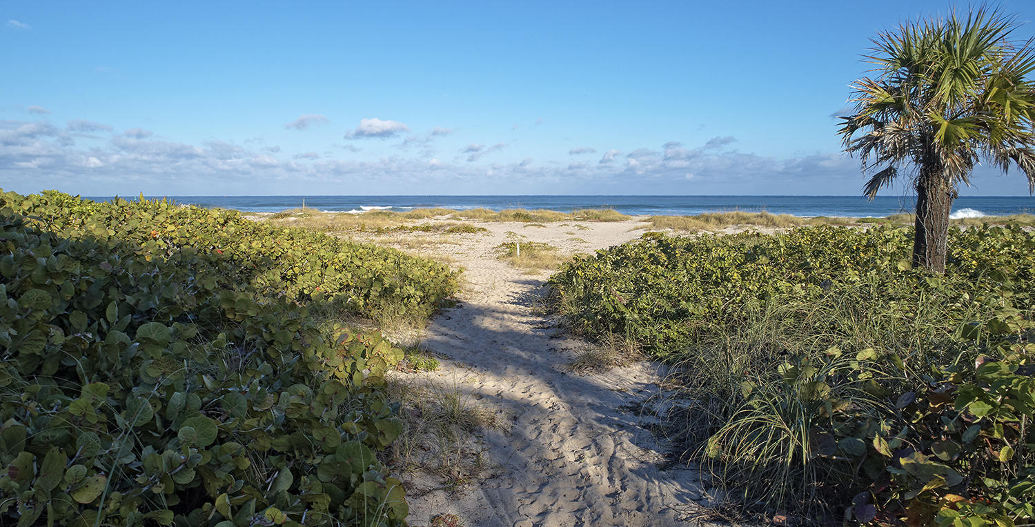 Esplanade Estates - Residential