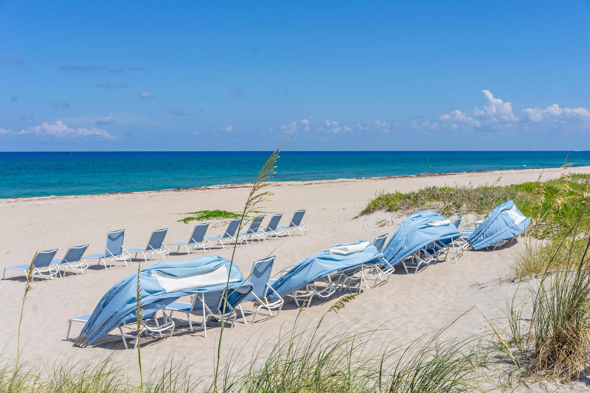 TWENTY SIX HUNDRED CONDO - Residential