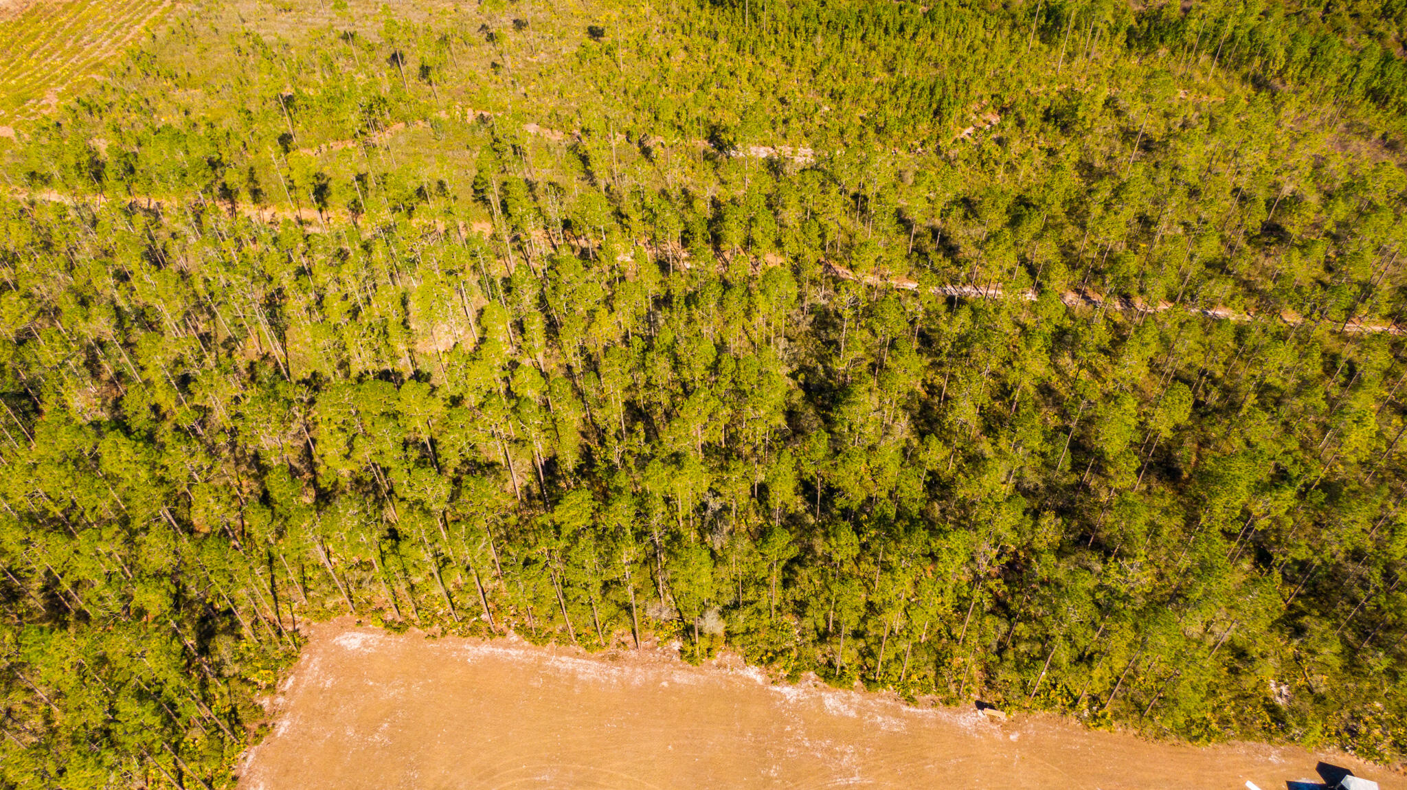 PAYNE'S LANDING RANCHES UNR - Land