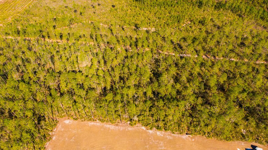 For sale in Fort McCoy, FL 32134—four separate vacant parcels (Parcel #04572-000-35 and others) priced at $45,000 each, with a package deal available for buyers interested in multiple lots. Located in a peaceful rural setting near the Ocala National Forest, these properties offer plenty of space for your dream home, small farm, or recreational retreat. Enjoy privacy and nature while still being within a short drive to shopping, dining, lakes, and outdoor activities. This is a rare opportunity to secure your own piece of Florida land in a quiet, scenic area—buy one lot or all four for a larger estate.