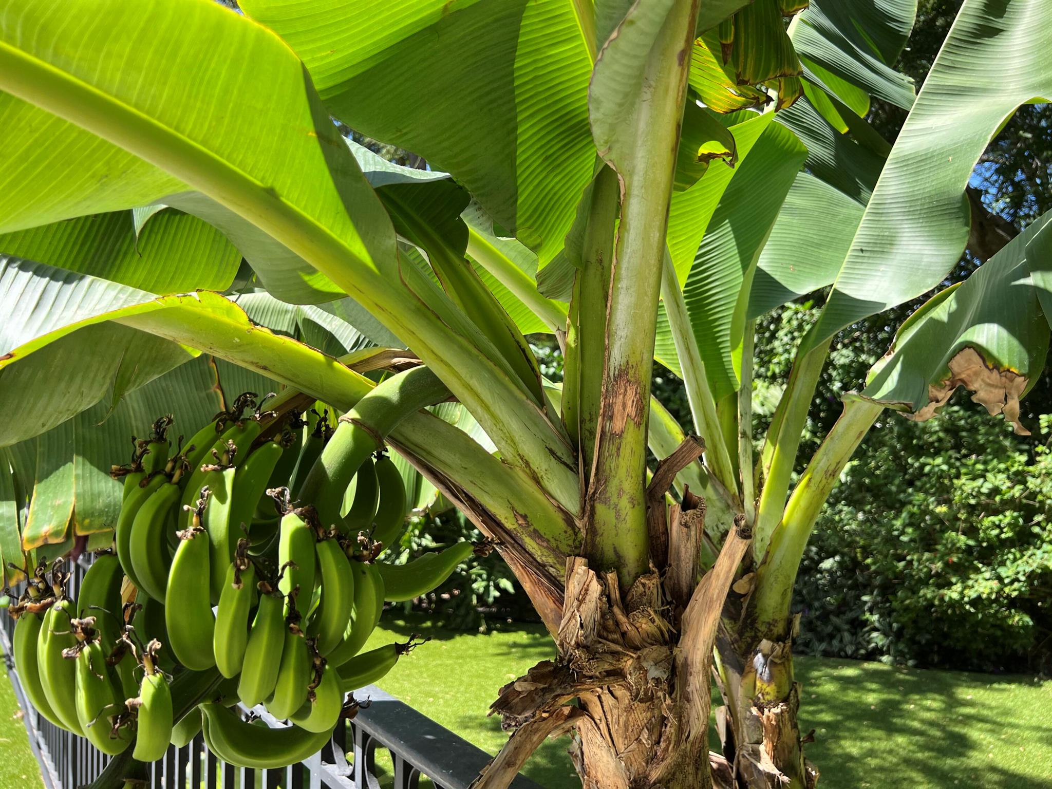 ADDISON ESTATES - Residential