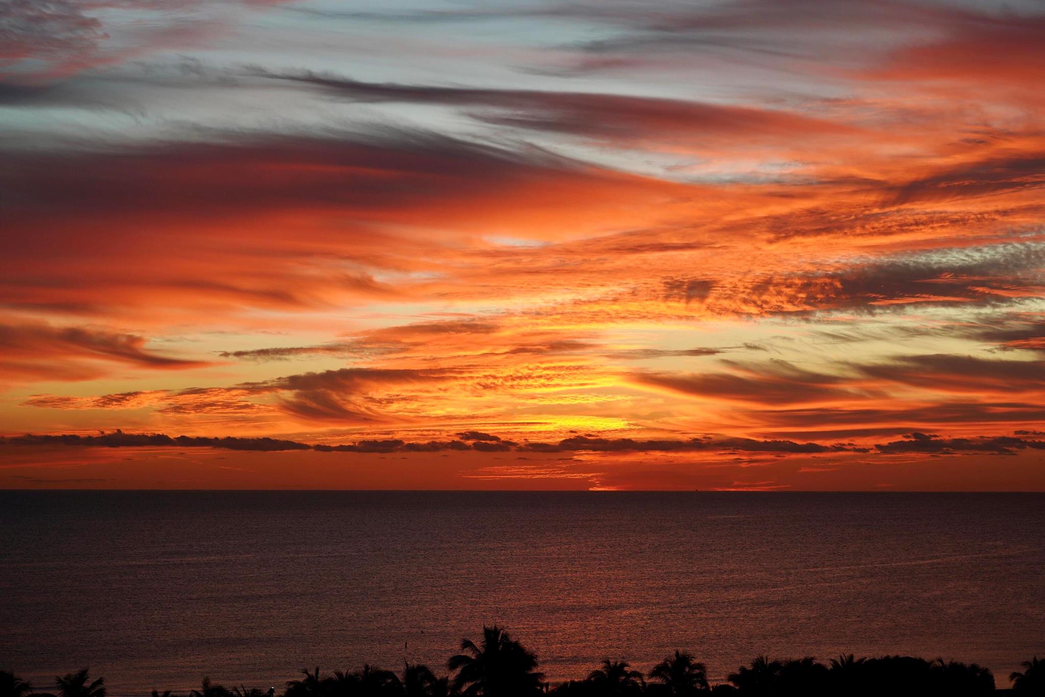 PLAZA AT OCEANSIDE (THE) - Residential