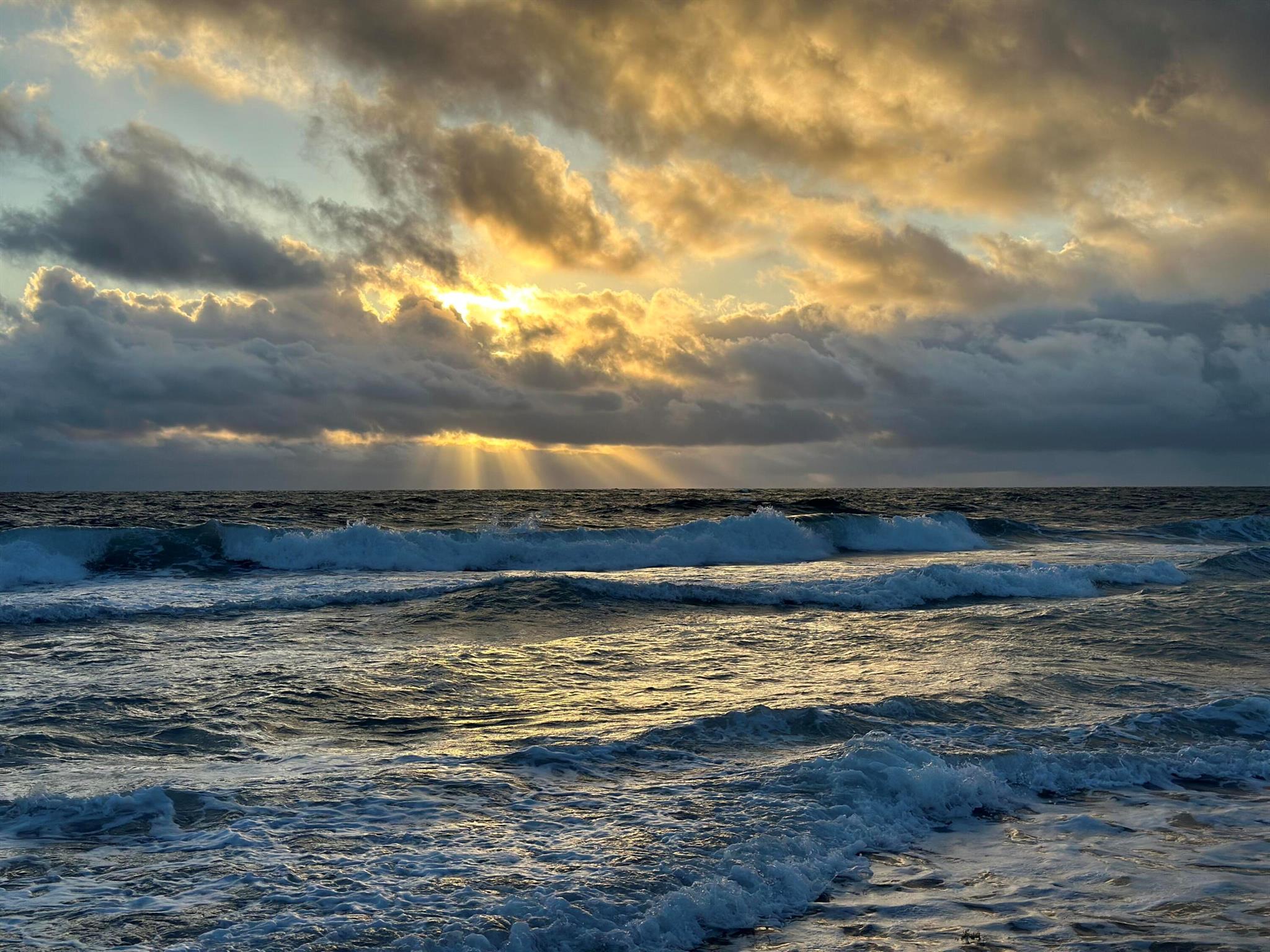 PLAZA AT OCEANSIDE (THE) - Residential