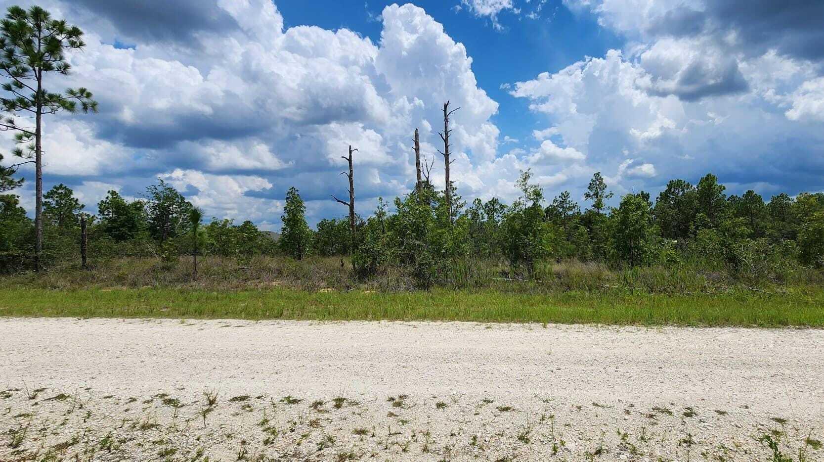 Royal Highlands in Hernando County awaits you! Built your Single Family home