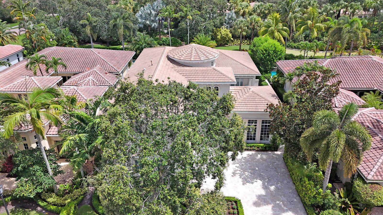 OLD PALM 2 - Residential