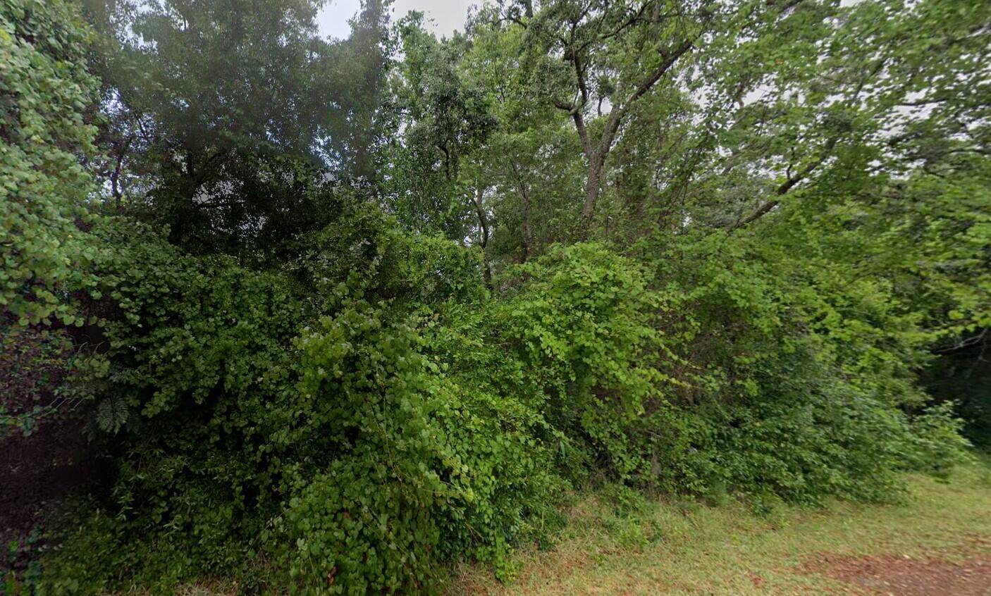 Build your dream house on this beautiful lot on a paved road in Spring Hill, FL. New and existing homes already in the area waiting for your home to be built. Electricity nearby making it easy to access power. Quiet neighborhood but minutes from shopping, doctors' office, and restaurants. Located off Forest Oaks east of US Hwy 19 in Spring Hill. This lot is listed below market value. Buying Land in Florida is a solid investment for your future, build your dream home, vacation home, rental investment or let the land build value as a great long-term investment to resell for a future profit.