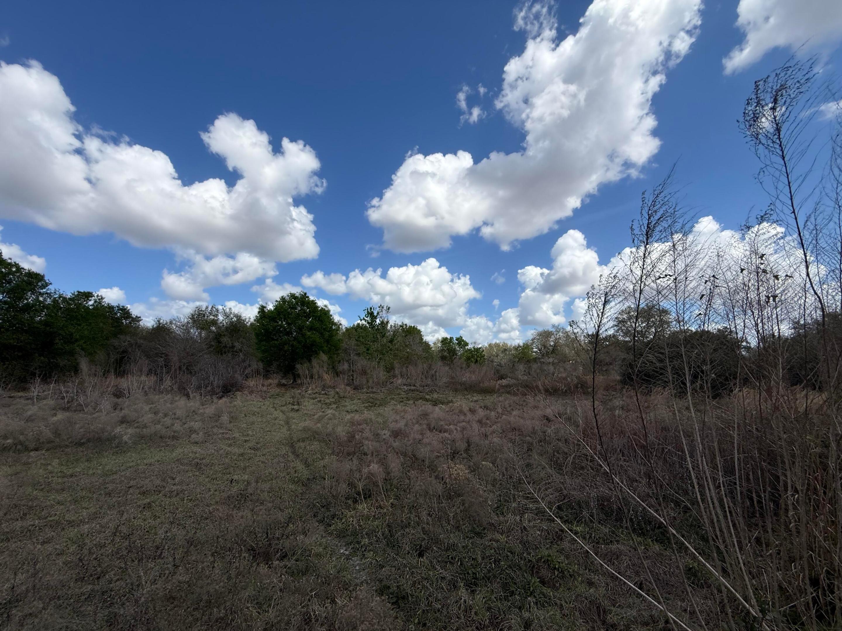 19571 NW 262nd Street