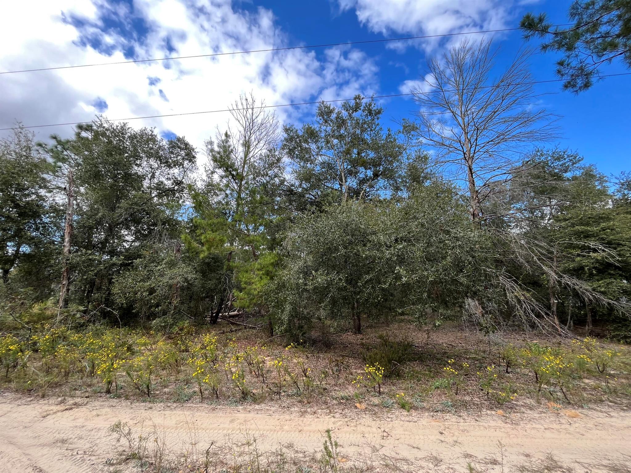 Don't Miss out on this High and dry OVERSIZED 0.59 ACRE CORNER LOT. Looking to purchase your dream property in Florida, look no further. This lot is listed below market value! Buying Land in Florida is a solid investment for your future, build your dream home, vacation home, rental investment or let the land build value as a great long-term investment to resell for a future profit. Owner Financing Available