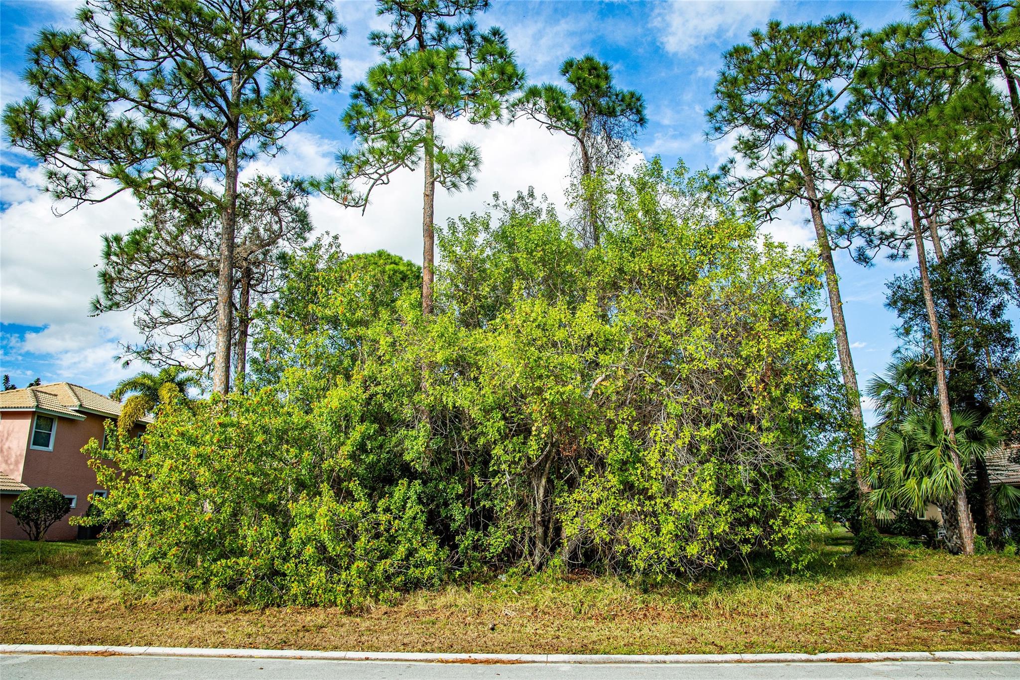 MONTE CARLO COUNTRY CLUB - Land