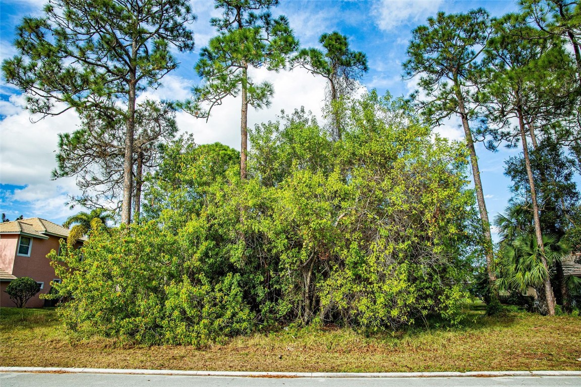 MONTE CARLO COUNTRY CLUB - Land