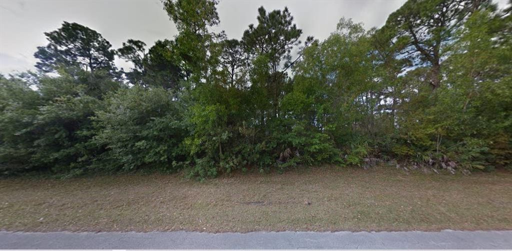 Photo of 2172 SW Leafy Road, Port Saint Lucie, FL 34953 (MLS # R10728357)