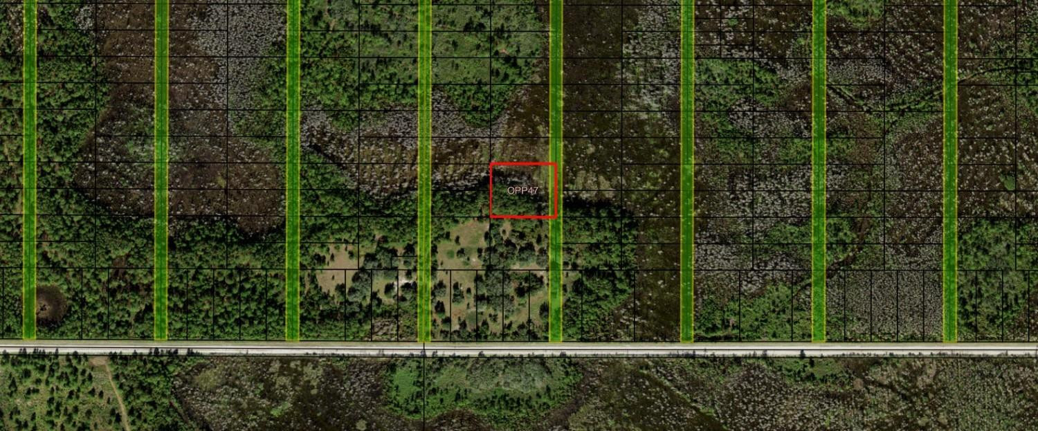 Opp47 Orlando Pines - Land