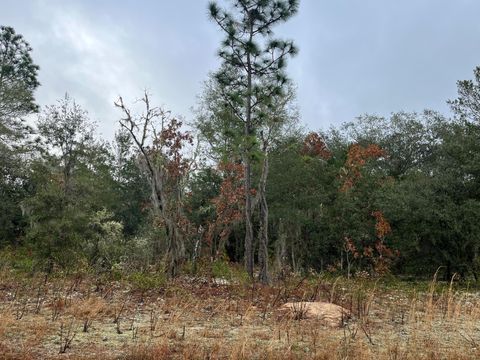 0 Ofarrell Avenue Interlachen FL 32148