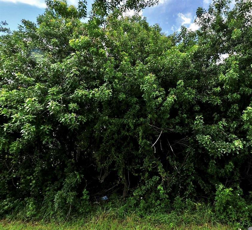 PORT ST LUCIE SECTION 41 - Land