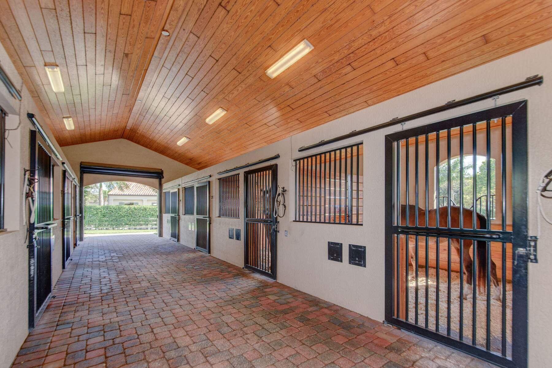 SADDLE TRAIL PARK OF WELLINGTON - Residential