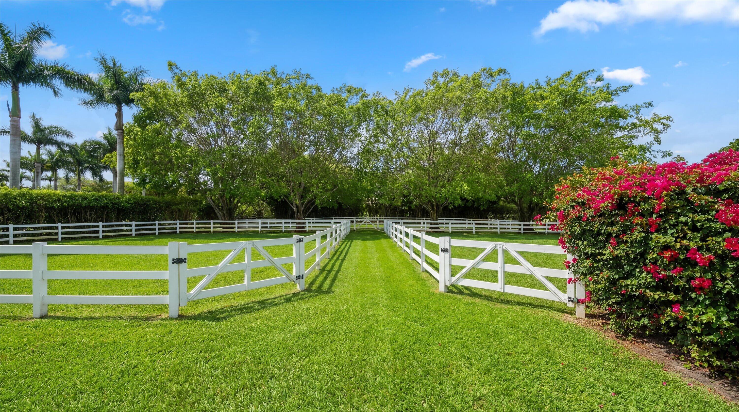 SADDLE TRAIL PARK OF WELLINGTON - Residential
