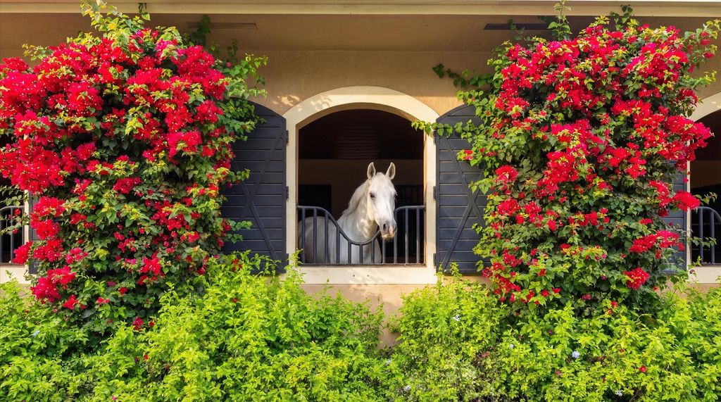 Photo of 14911 Equestrian Way, Wellington, FL 33414 (MLS # R11166814)