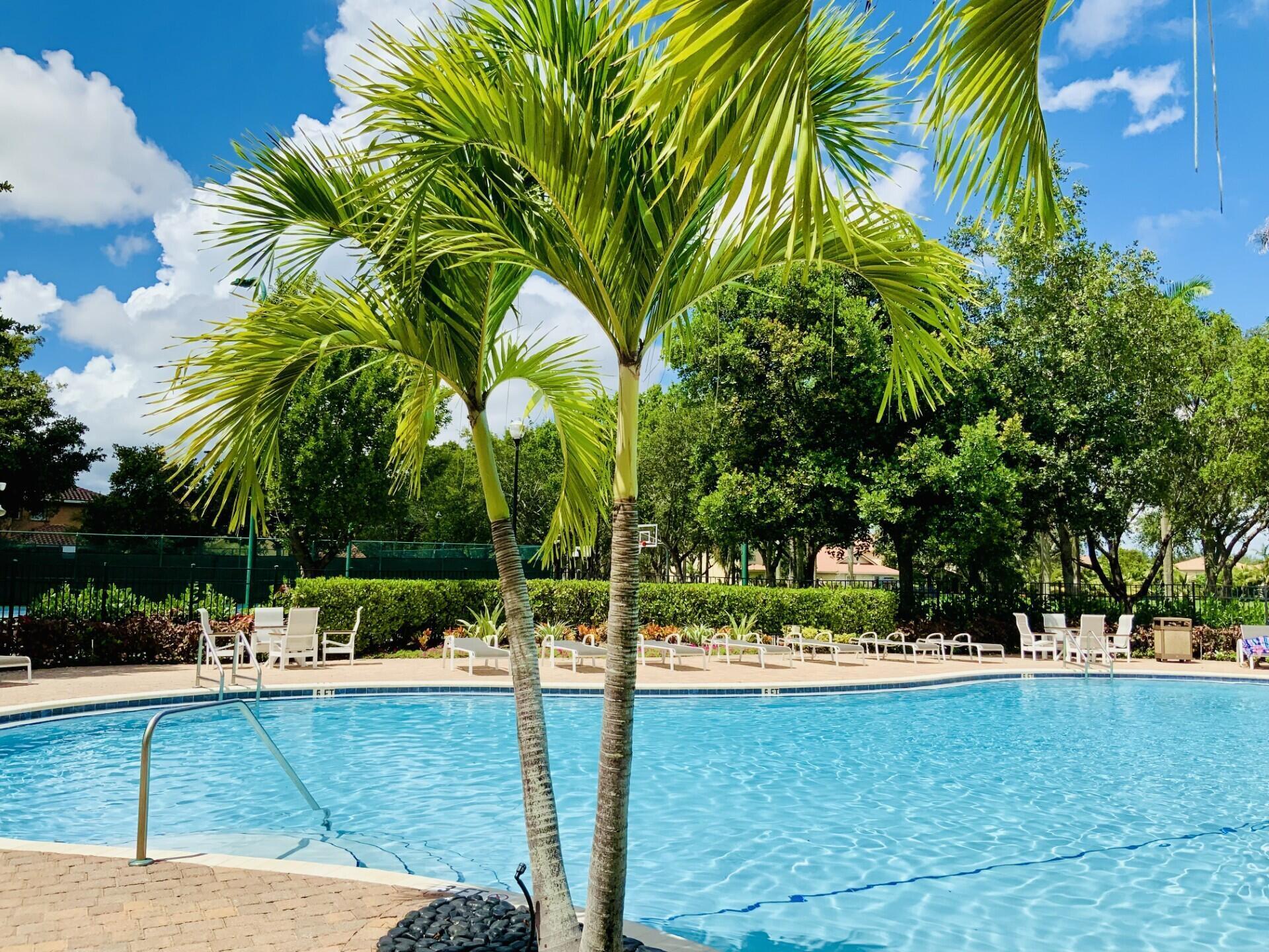 TERRACINA JOHNSON PROPERTY - Residential