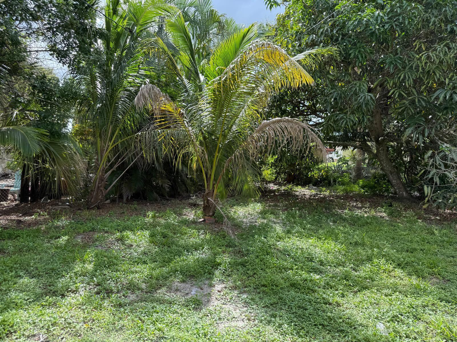 STRONG PARK - Residential Lease