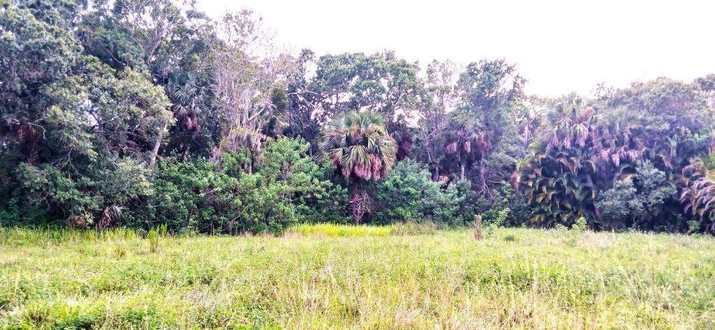 Photo of 0 S Us-1, Fort Pierce, FL 34982 (MLS # B26016433)