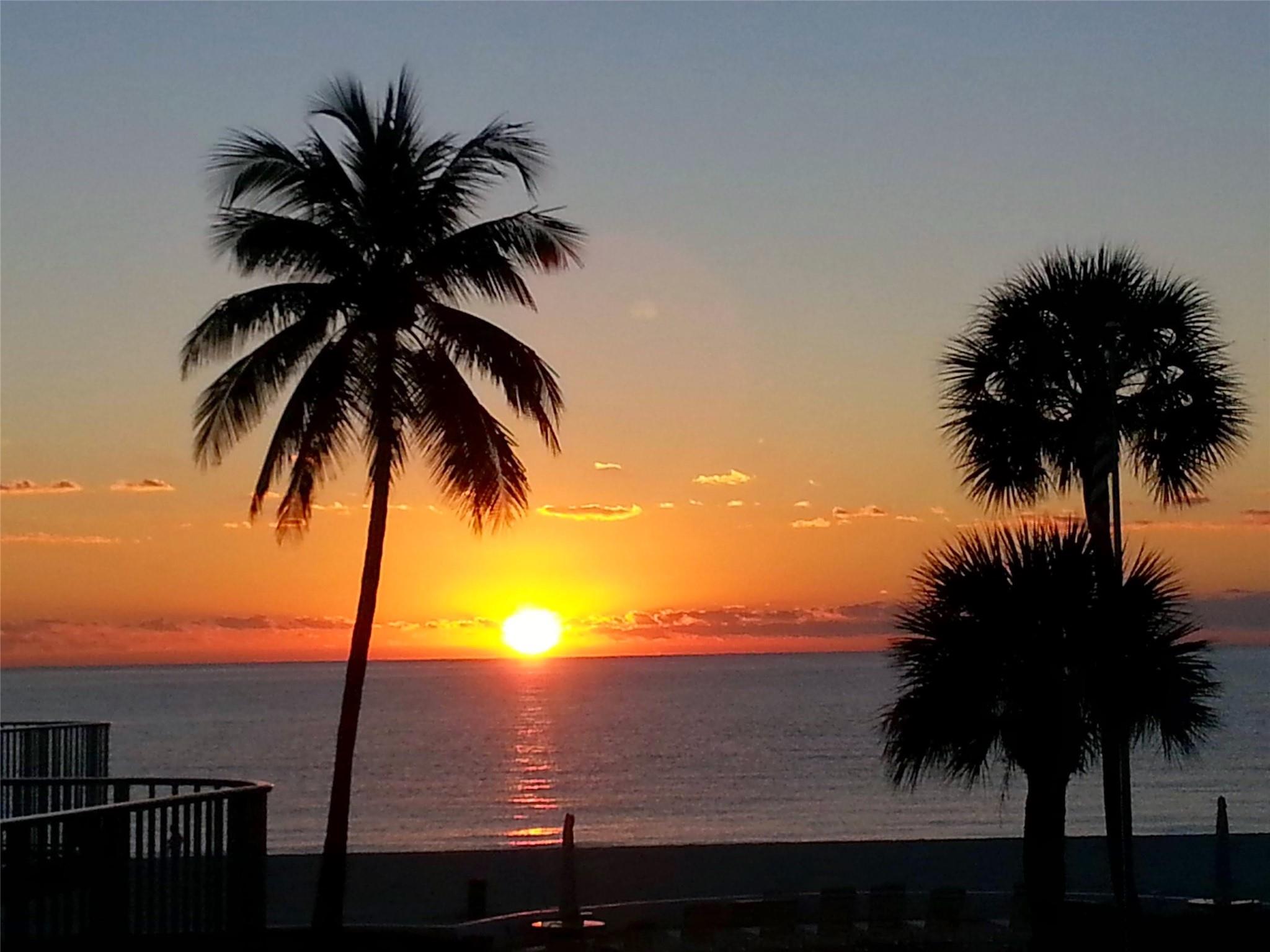 OCEAN EAST - Residential