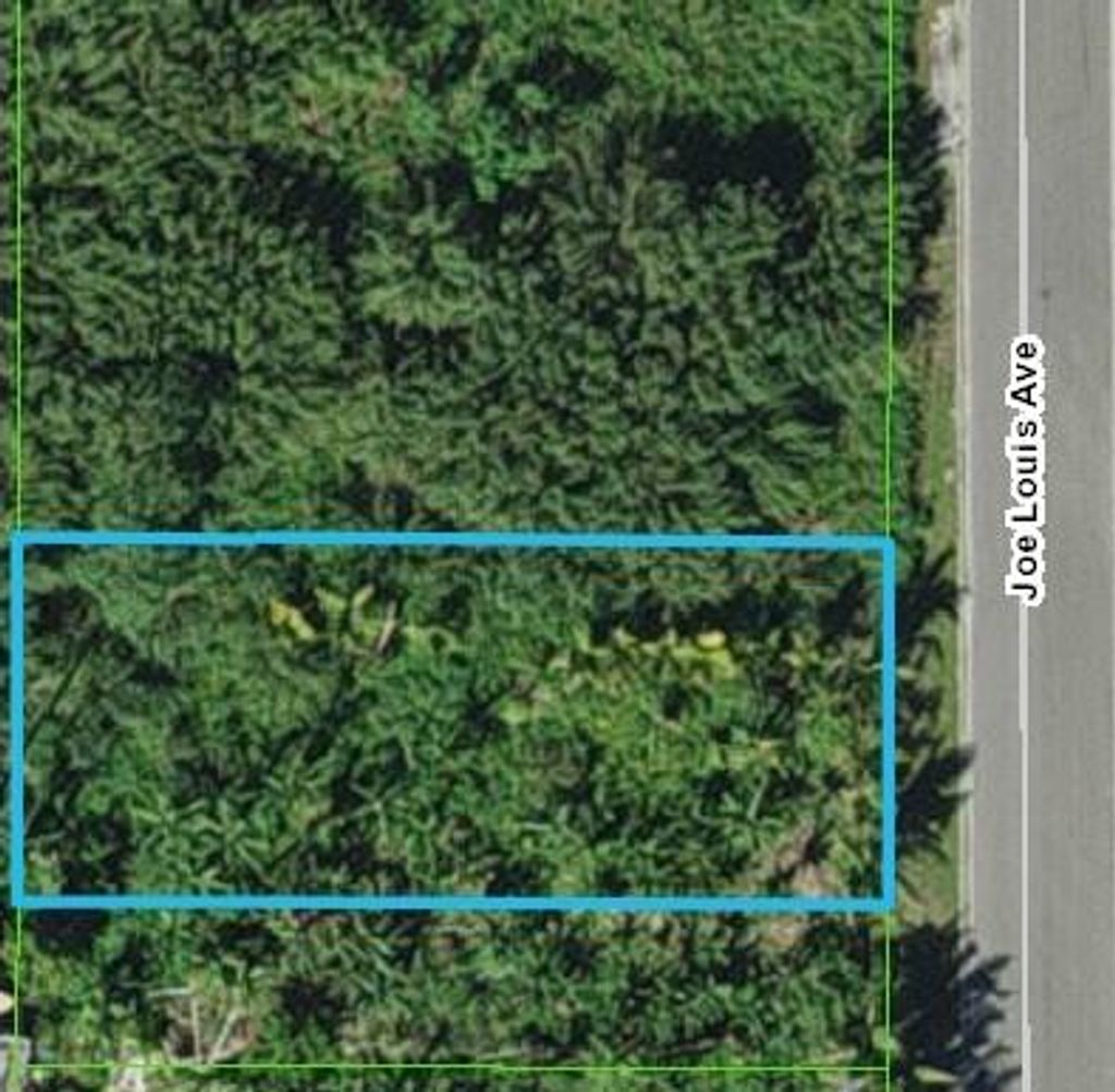 Photo of 0 Joe Louis Avenue, Pahokee, FL 33476 (MLS # R10990362)
