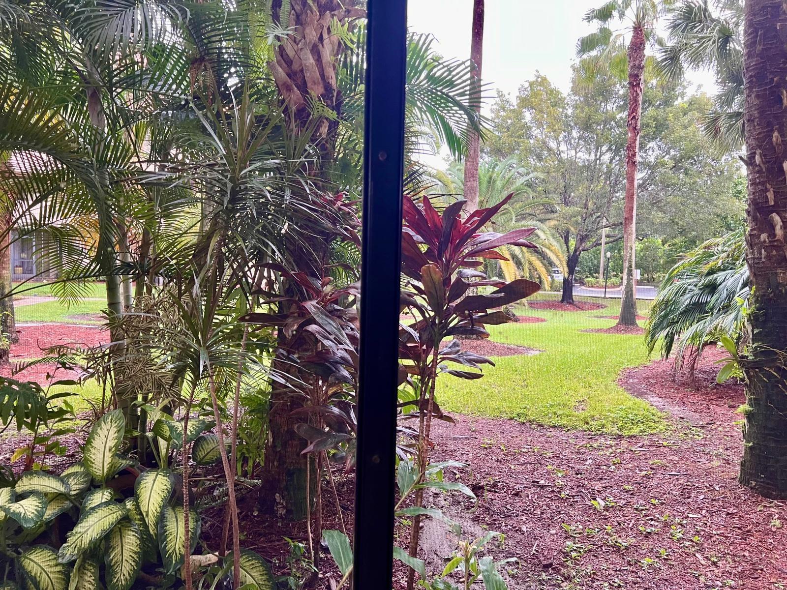 Plantation Forest Condo - Residential