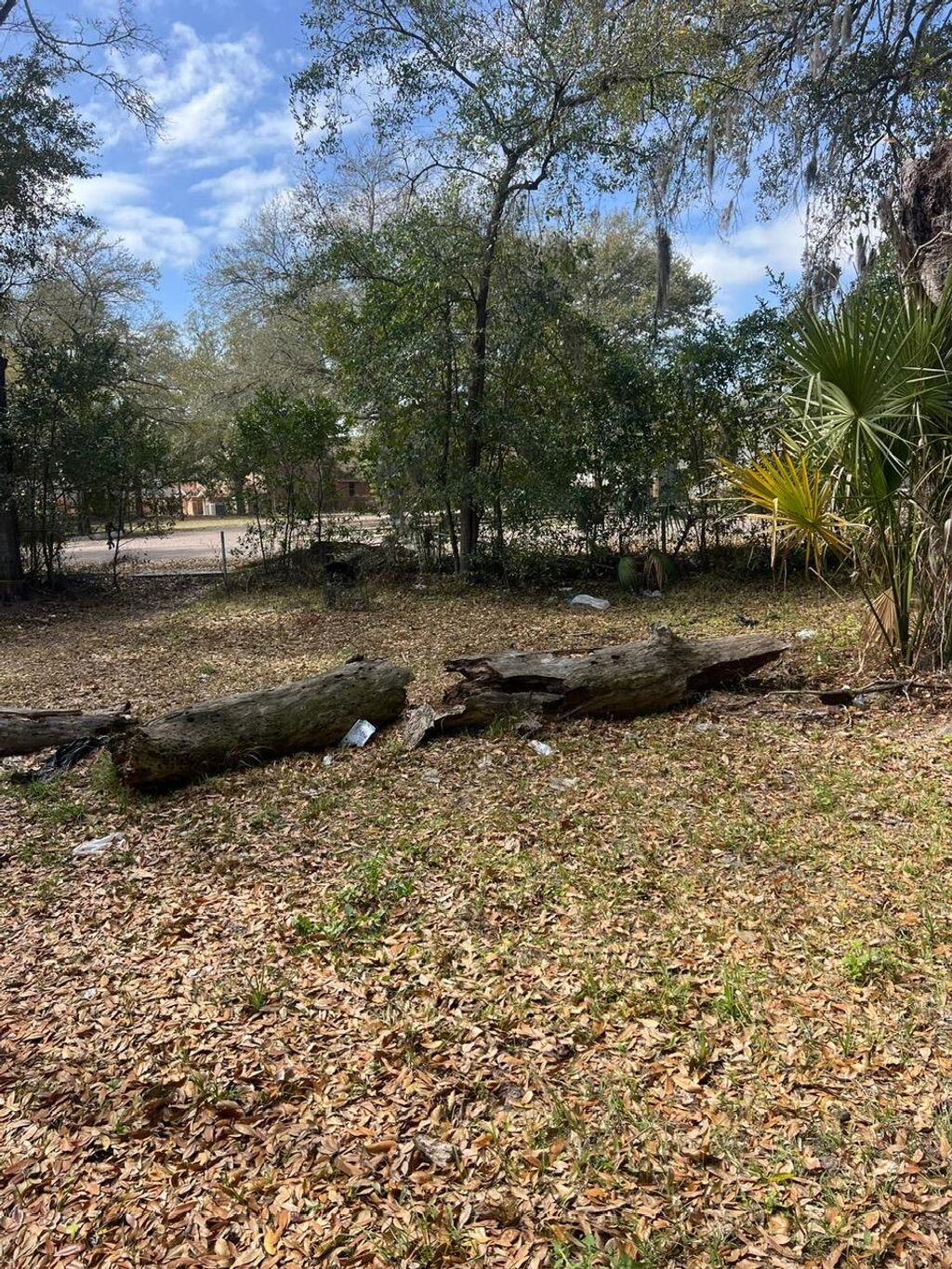 Photo of 5846 Abelia Road, Jacksonville, FL 32209 (MLS # B26008220)