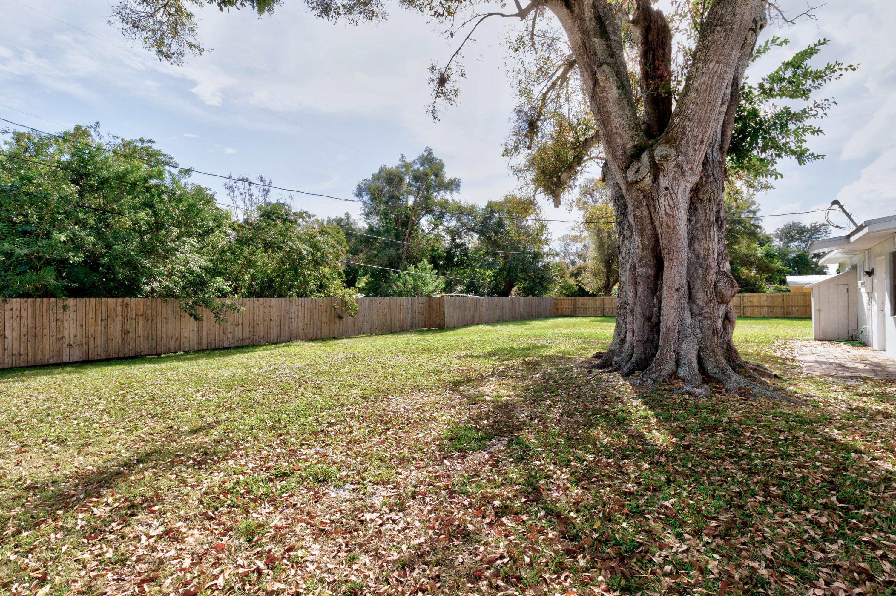 PLAT OF RIVENBARK SUBDIVISION - Residential