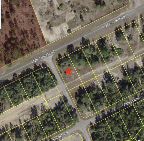 0 Tbd 113th Street Lot 1 Road Ocklawaha FL 32179