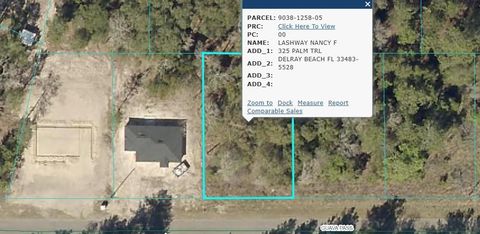 19 Guava Pass Ocklawaha FL 32179