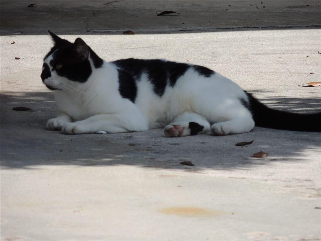 CRESTHAVEN 10 - Residential Lease