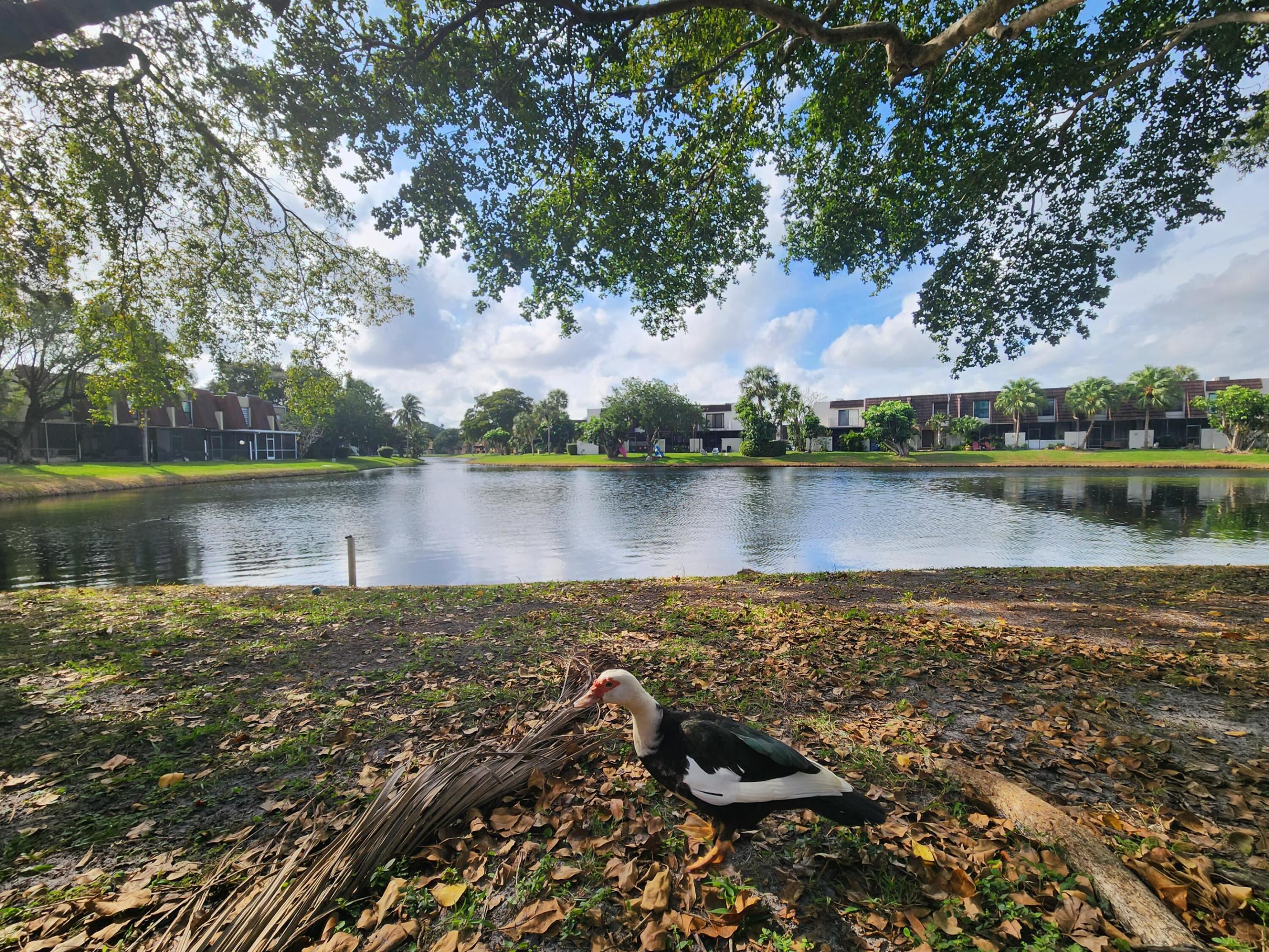 WESTVIEW CONDOMINIUM NO TWO - Residential Lease