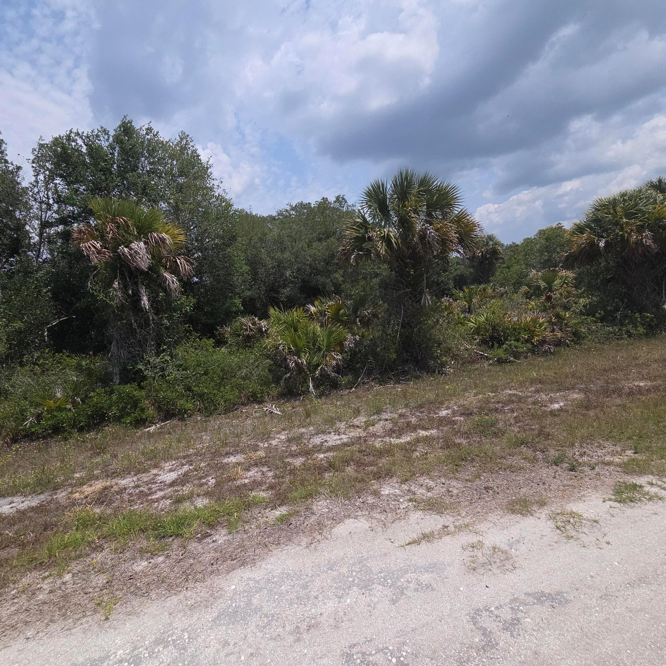 Southern Homesteads - Land
