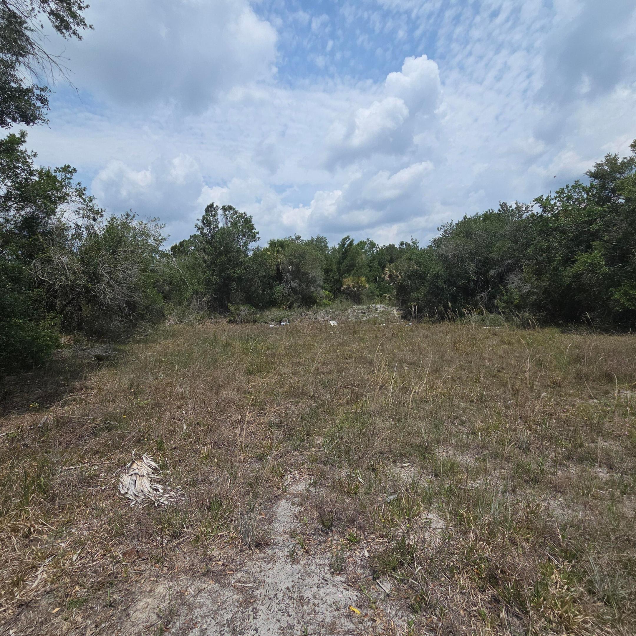 Southern Homesteads - Land