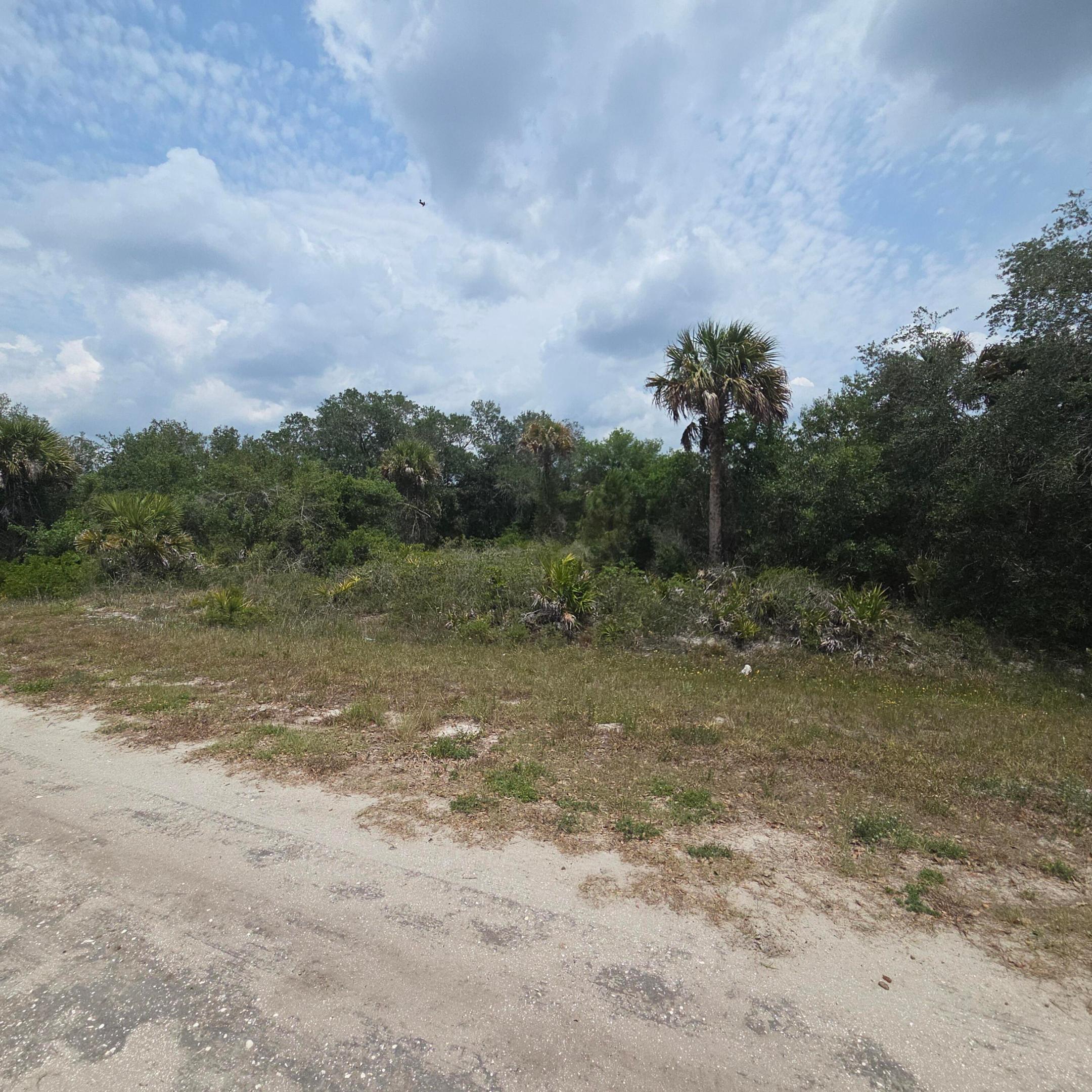 Southern Homesteads - Land