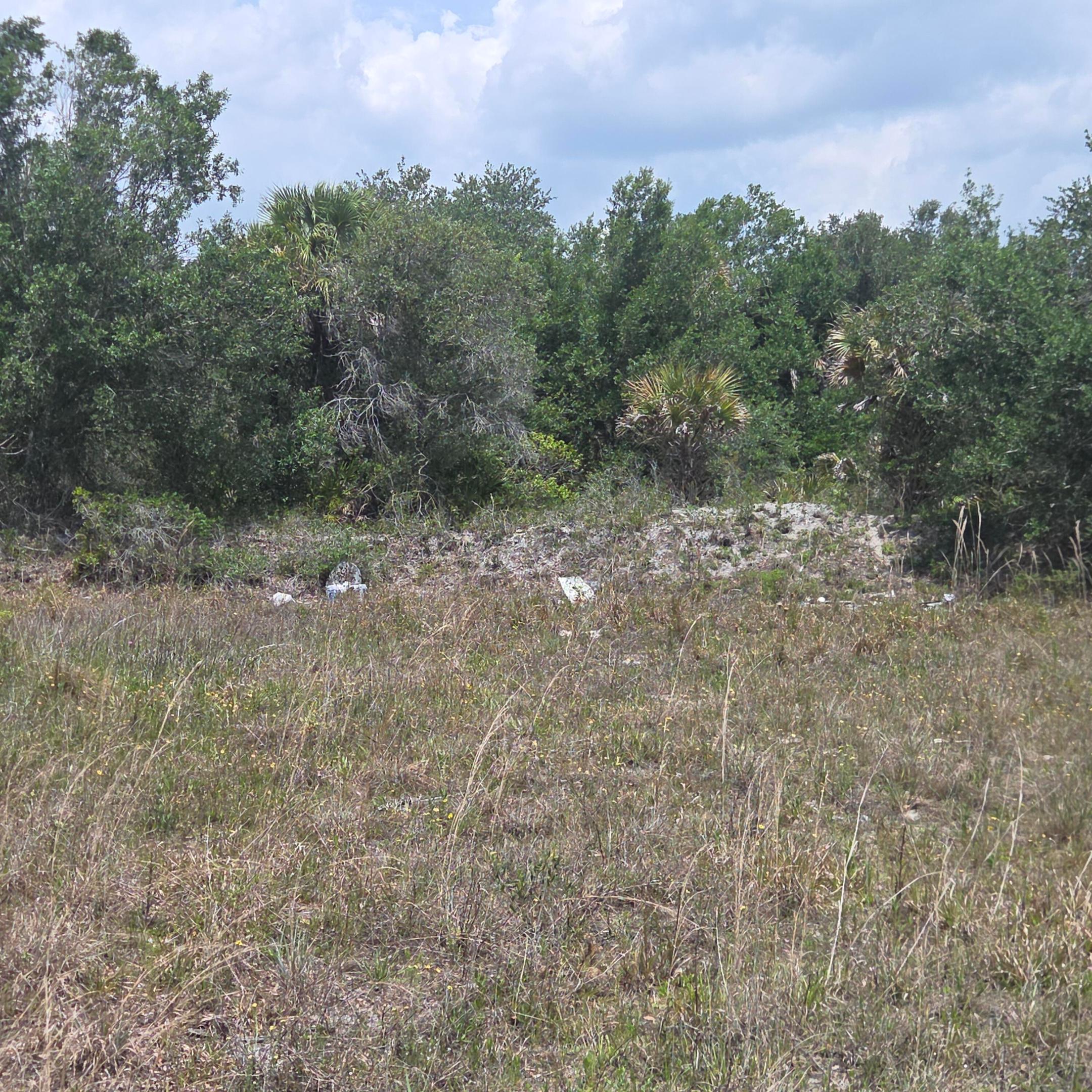 Southern Homesteads - Land