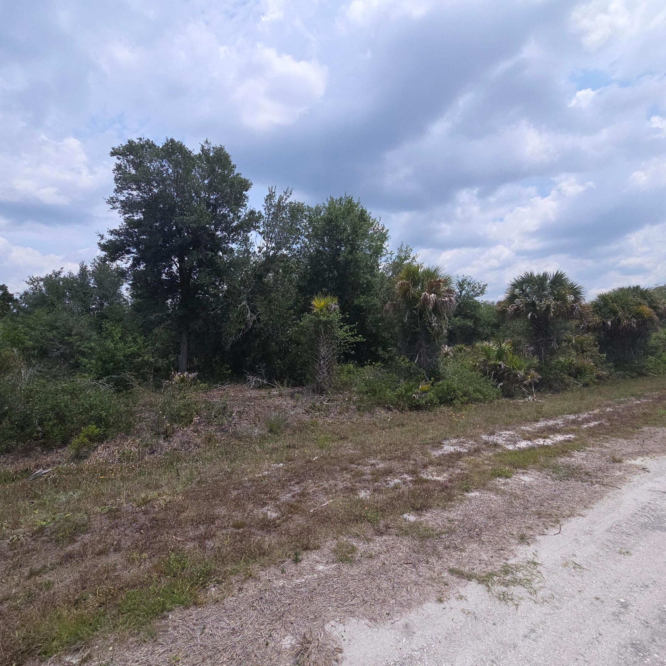 Southern Homesteads - Land