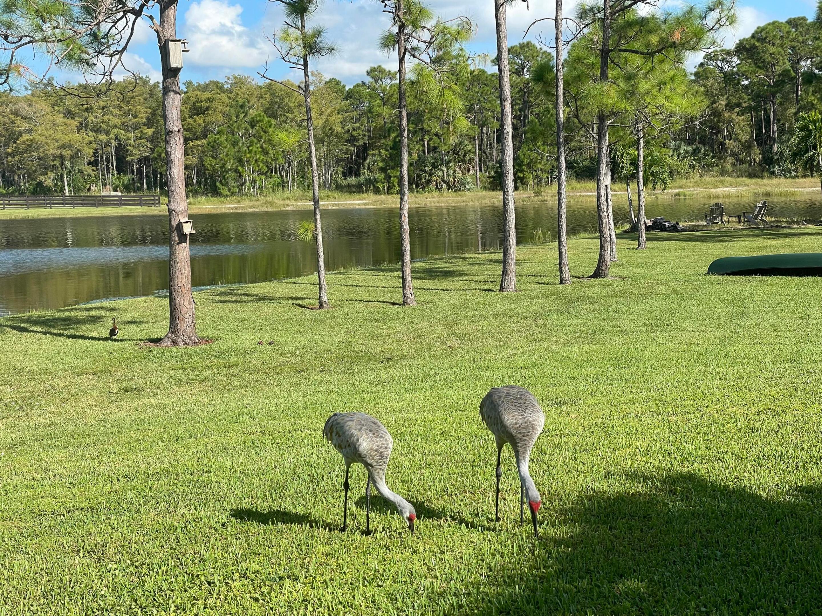 HOMELAND - Residential