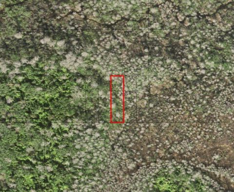 0 Holopaw Groves Road St Cloud FL 34772