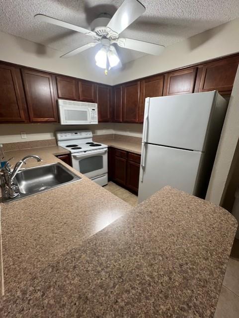 South Palm Place Condo - Residential Lease