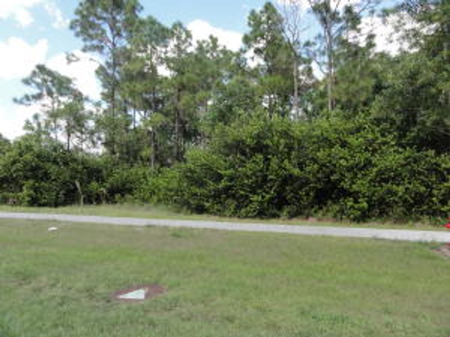 BEAUTIFUL LOT WITH PUBLIC WATER AVAILABLE. NO HOA! BRING THE PETS AND HORSES TOO! LOT HAS LOTS OF PINE AND PALMETTO. GREAT LOCATION TO BUILD A HOME ON THIS PAVED ROAD. A CANAL RUNS ALONG THE SIDE OF THE PROPERTY FOR ADDITIONAL PRIVACY.
