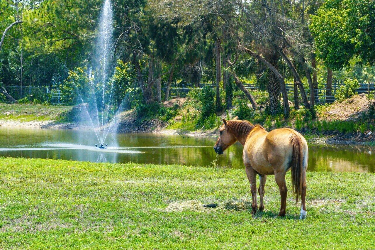 Jupiter Farms - Residential