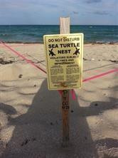 Ocean Place at Silver Bea - Residential