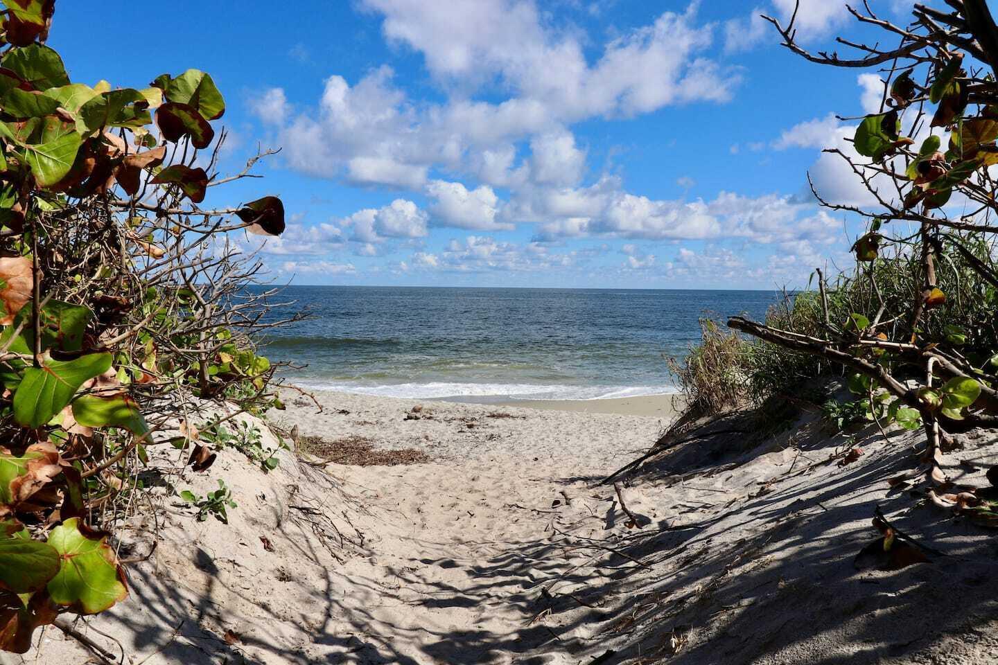 OCEAN WALK PLACE - Residential Lease