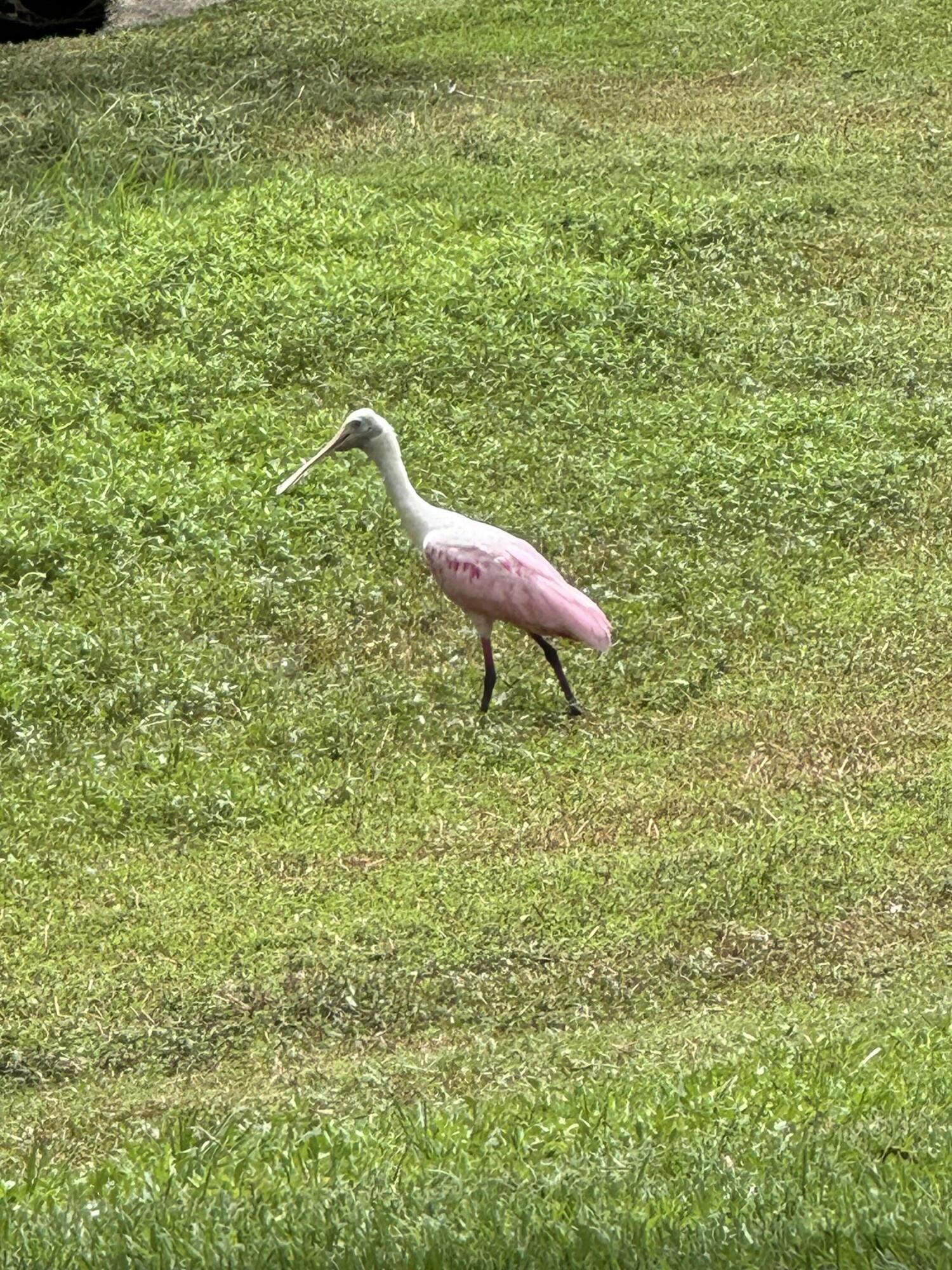 YACHT & COUNTRY CLUB OF STUART - Residential