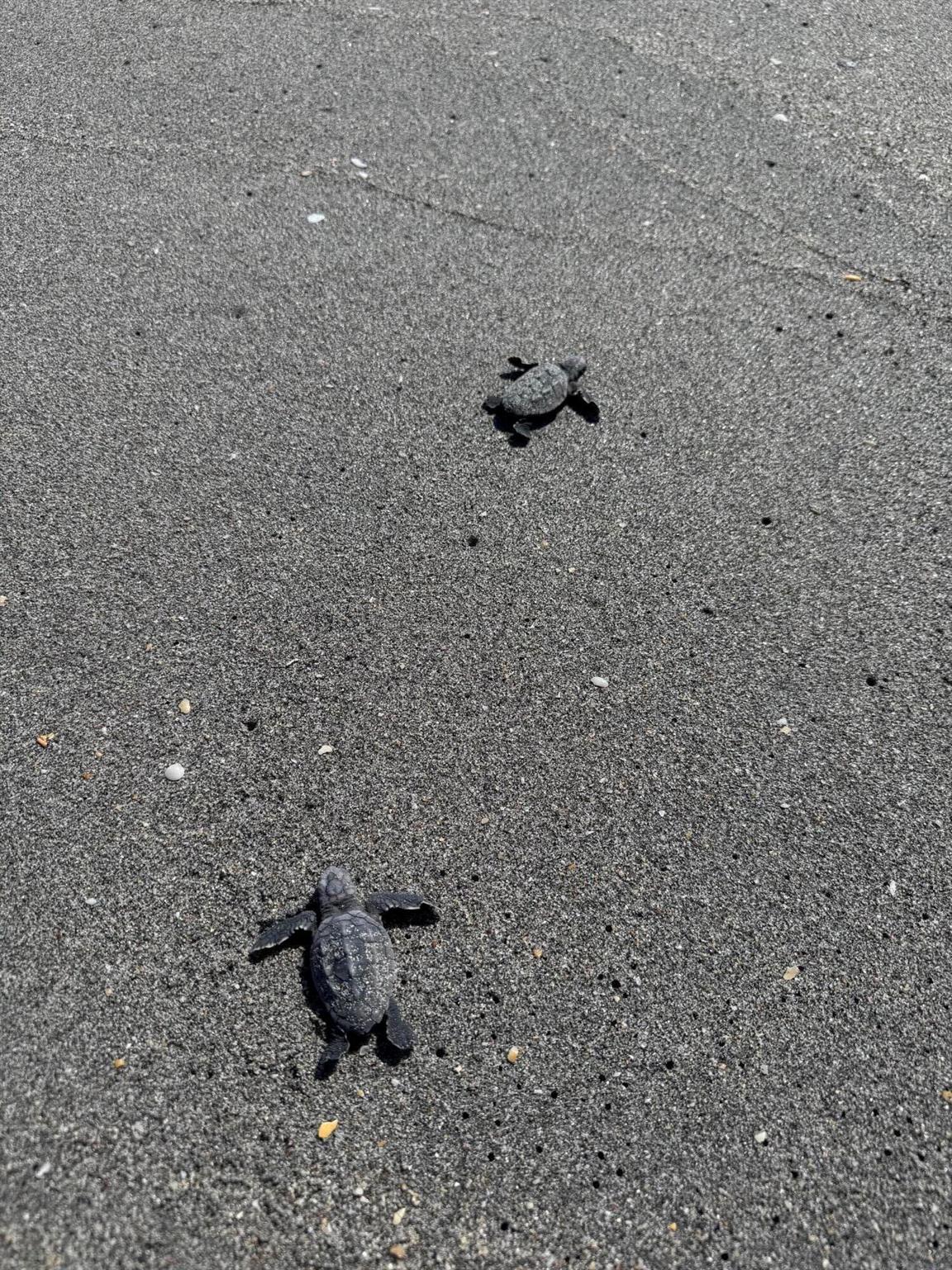 YACHT & COUNTRY CLUB OF S - Residential