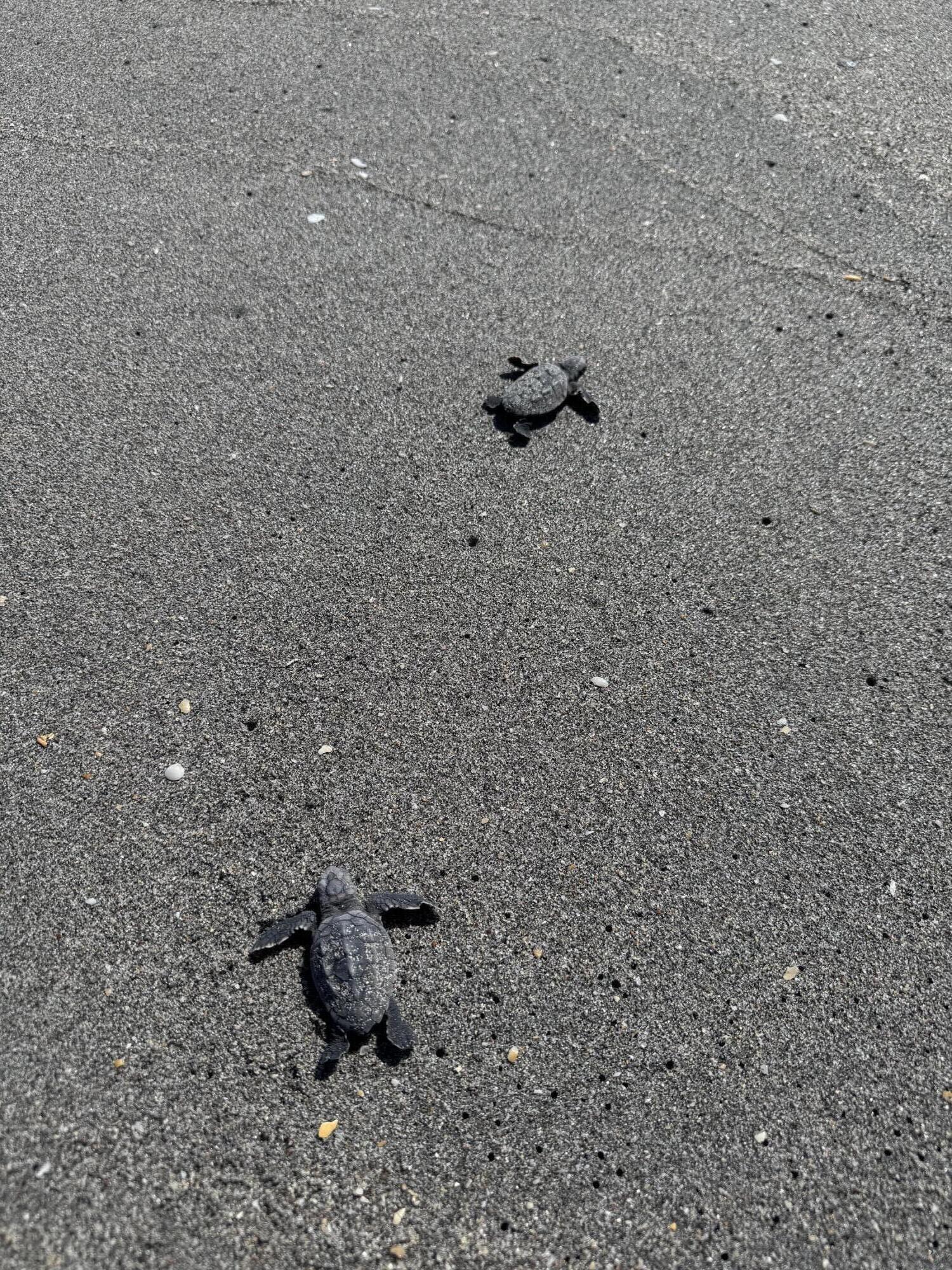 YACHT & COUNTRY CLUB OF STUART - Residential