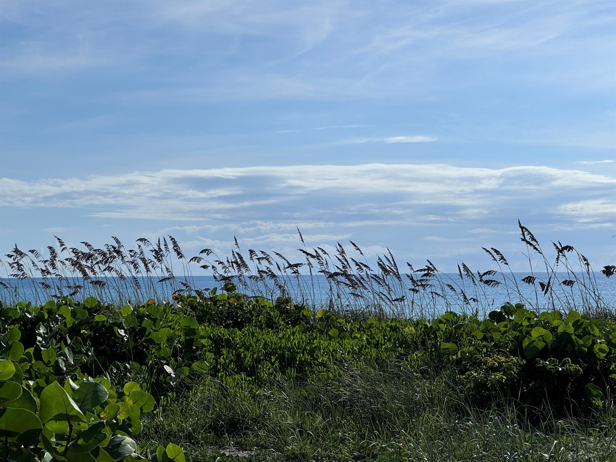 YACHT & COUNTRY CLUB OF S - Residential