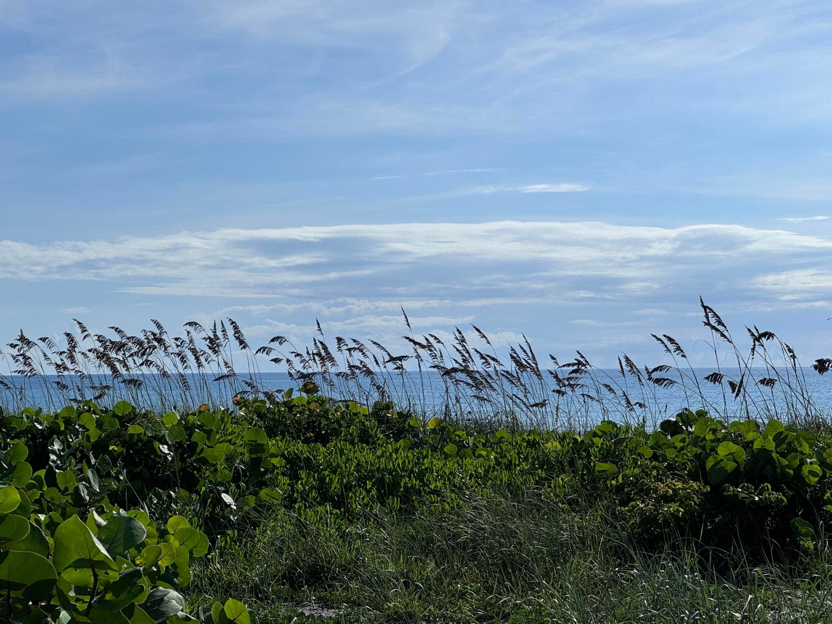 YACHT & COUNTRY CLUB OF STUART - Residential